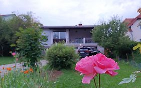 A Place To Be - Ruhelage Mit Gratis Parkplatz